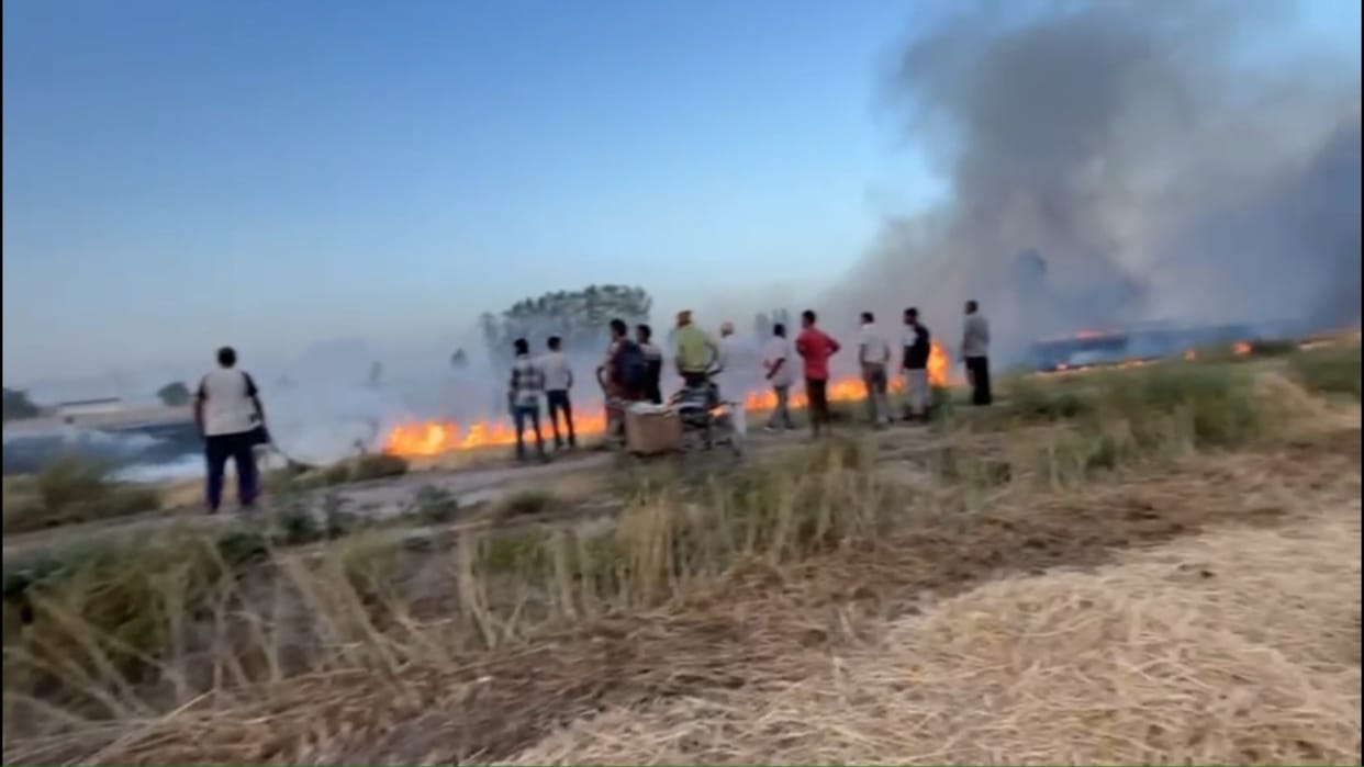 Panipat: Eight acres of wheat crop burnt in Thirana village