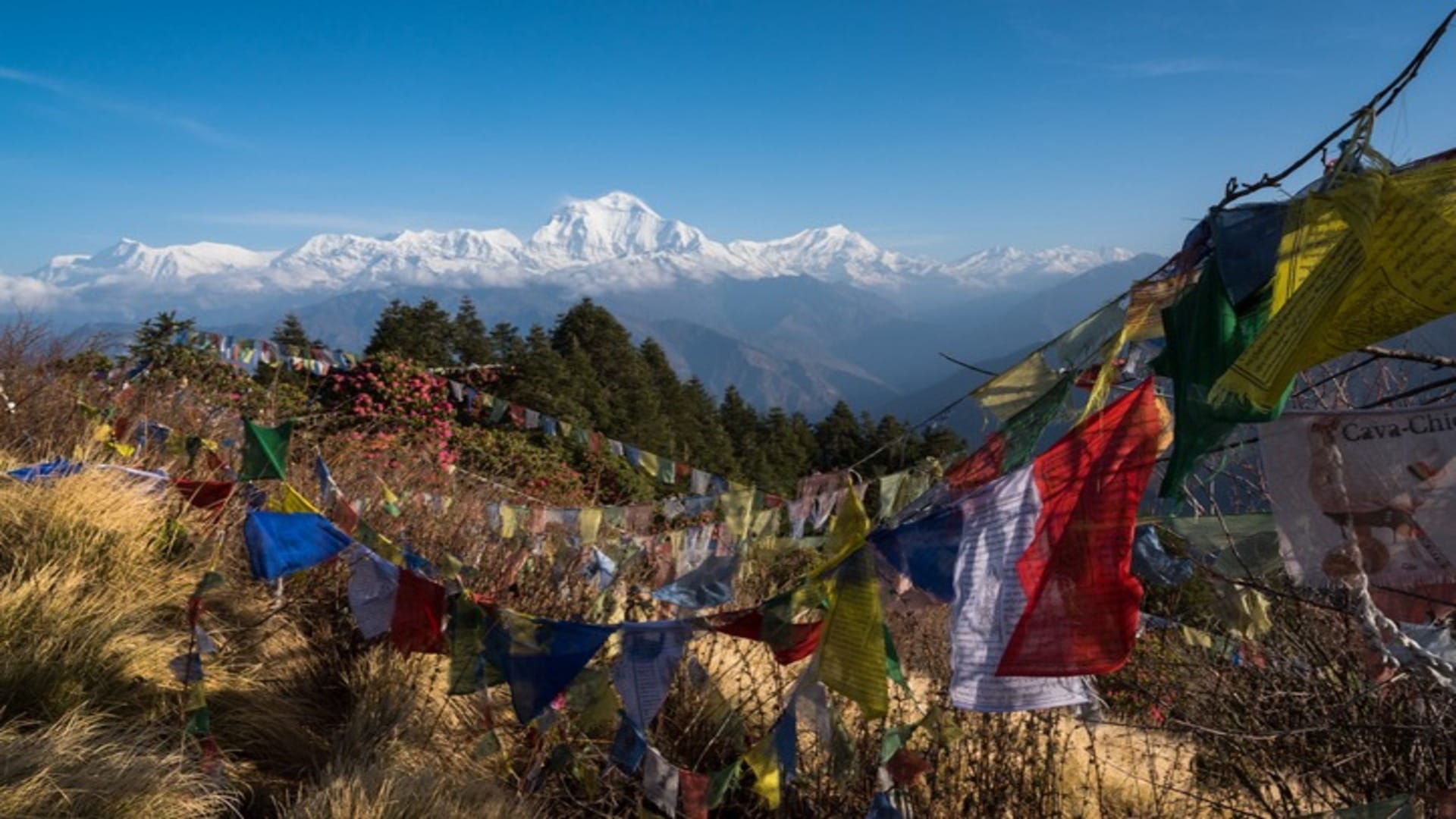 IRCTC Nepal Tour Package 2024 Check Fare And Complete Tour Details In Hindi