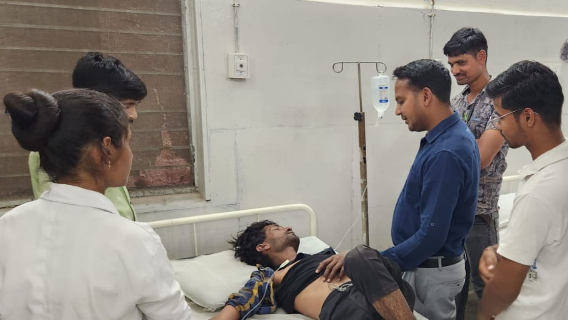 Mandsaur: Bees attacked devotees who came to visit Mata temple, eight devotees injured.