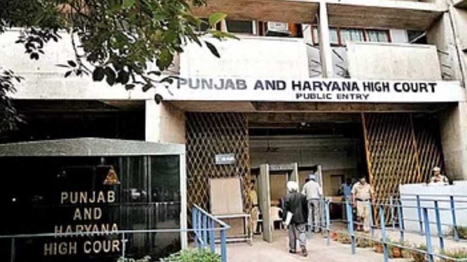 पंजाब हरियाणा हाईकोर्ट