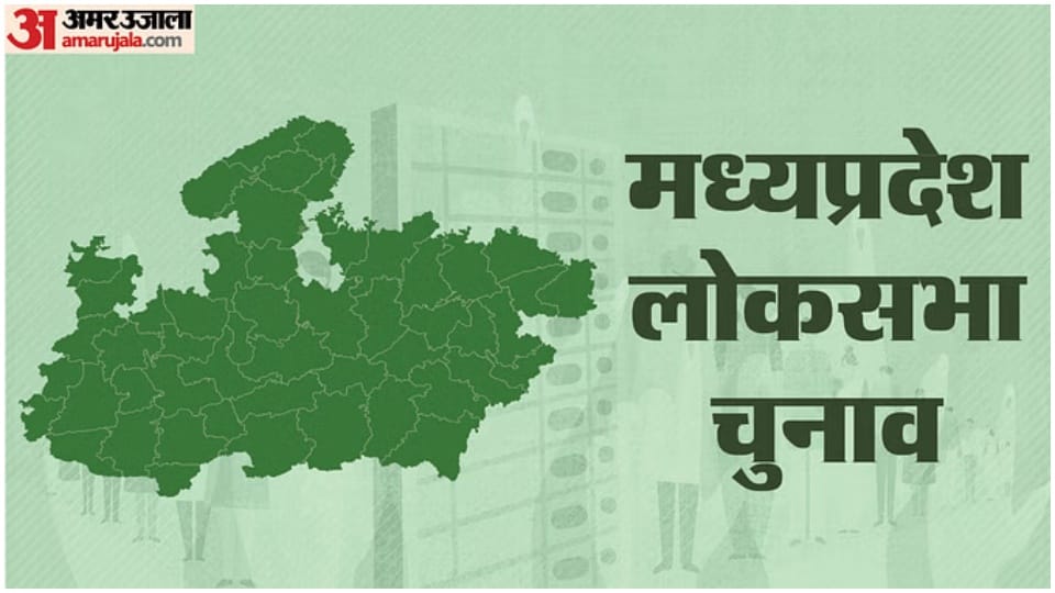 MP LS Election History: Apart from the main parties, other political parties failed to distribute votes