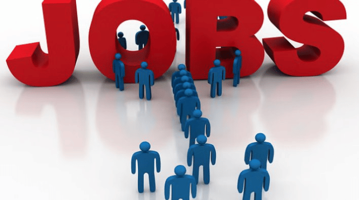 Weekly Sarkari Naukri Bulletin: Know in which departments government job recruitment open; Read full details