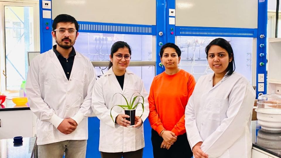 IIT Mandi researchers develop biodegradable polymer based microgel