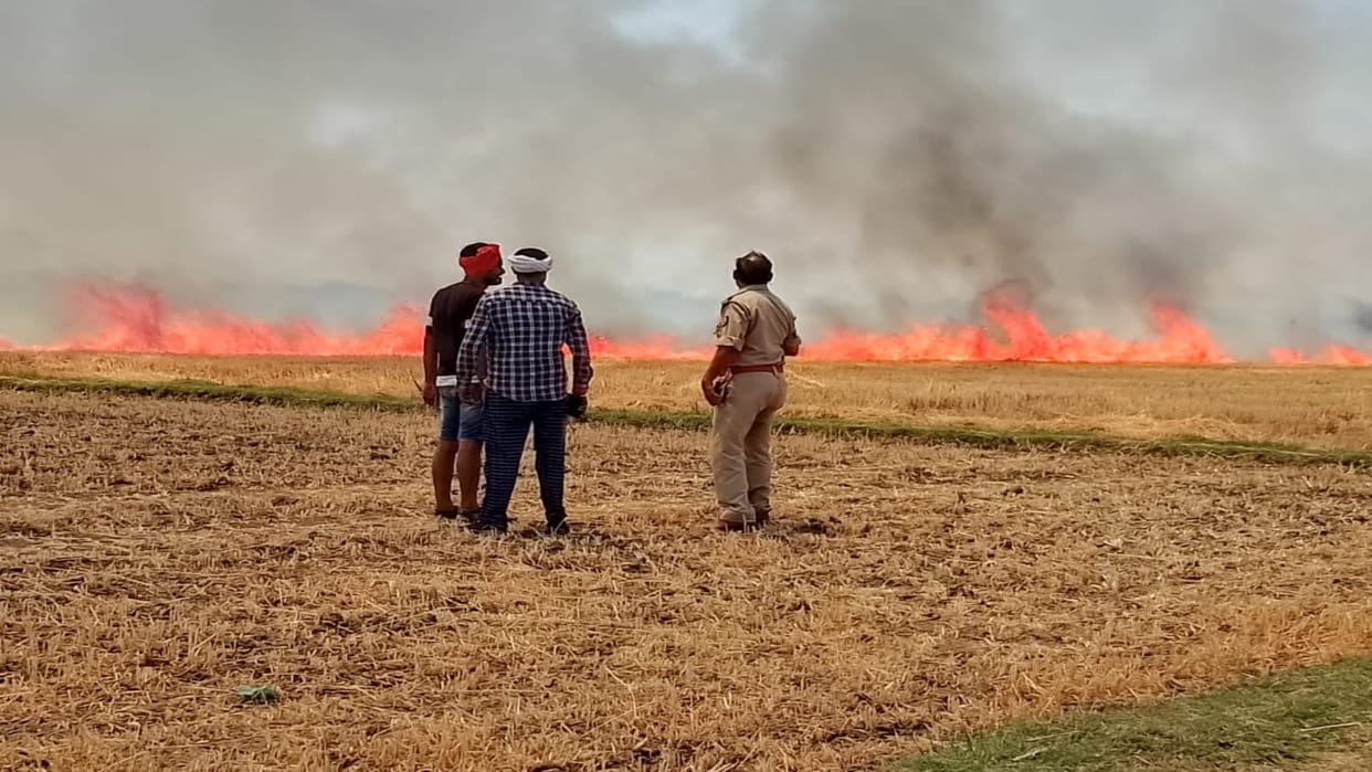 50 bighas of crop burnt to ashes due to fire in Yamunapar, fire brought under control after hours of hard work