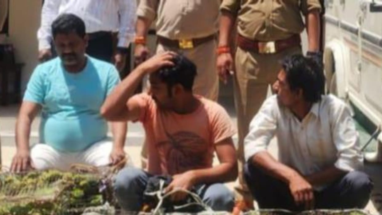 Smugglers caught by STF and Forest Department, 676 parrots recovered