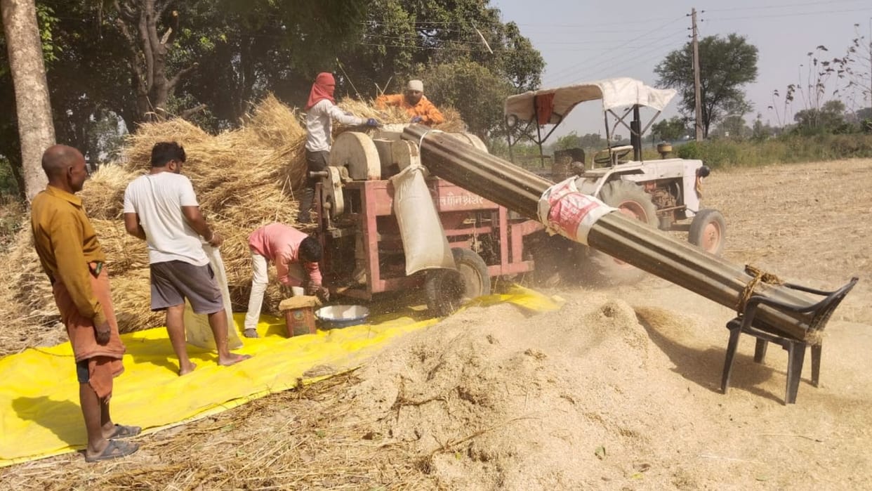 Farmer engaged in saving crops with indigenous technology