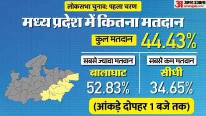 MP Lok Sabha Phase-1 Election: More than 67 percent voting in the first phase in Madhya Pradesh