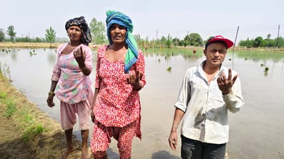 Election 2024: Kairana Lok Sabha seat has triangular contest, voters are silent