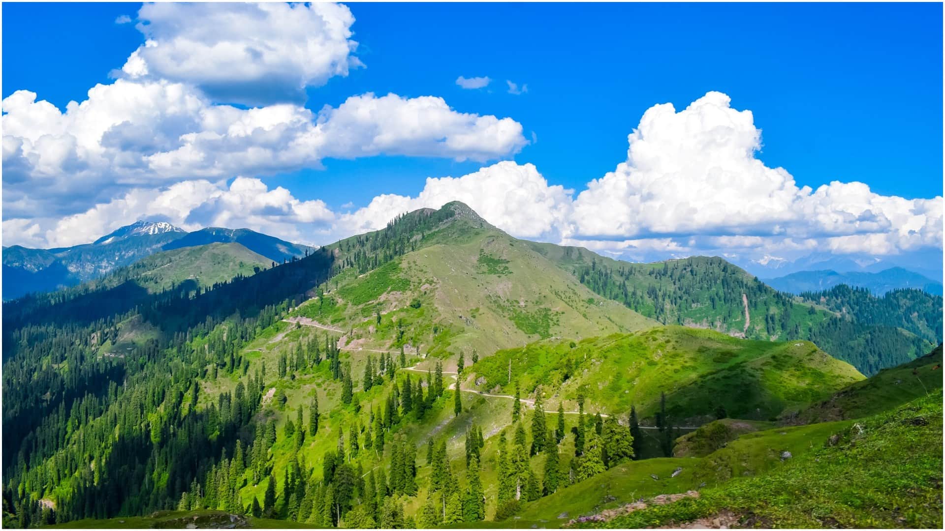 IRCTC Tour Packages 2025 Himachal Pradesh Check Booking Details In Hindi