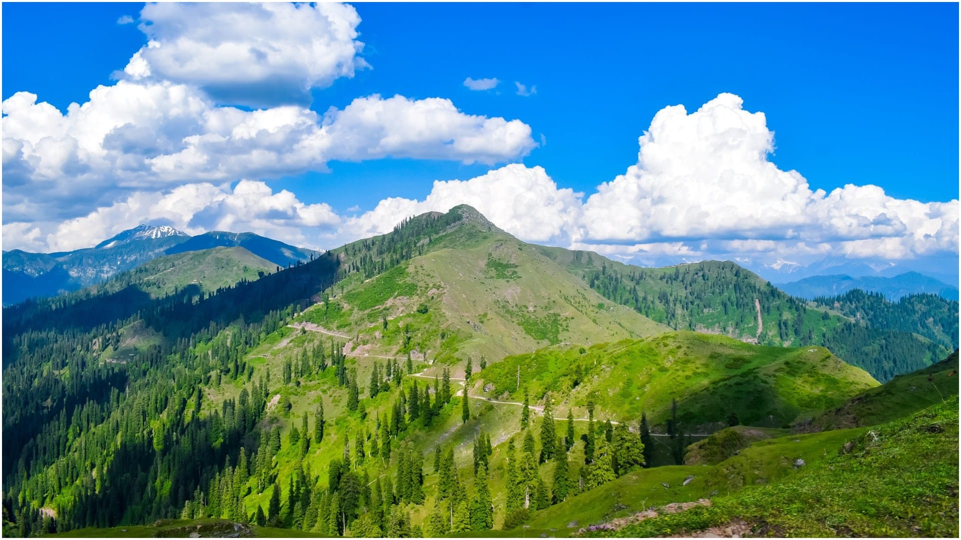 Nearest Hill Stations From Delhi Reach Under 300 KM Weekend Trip