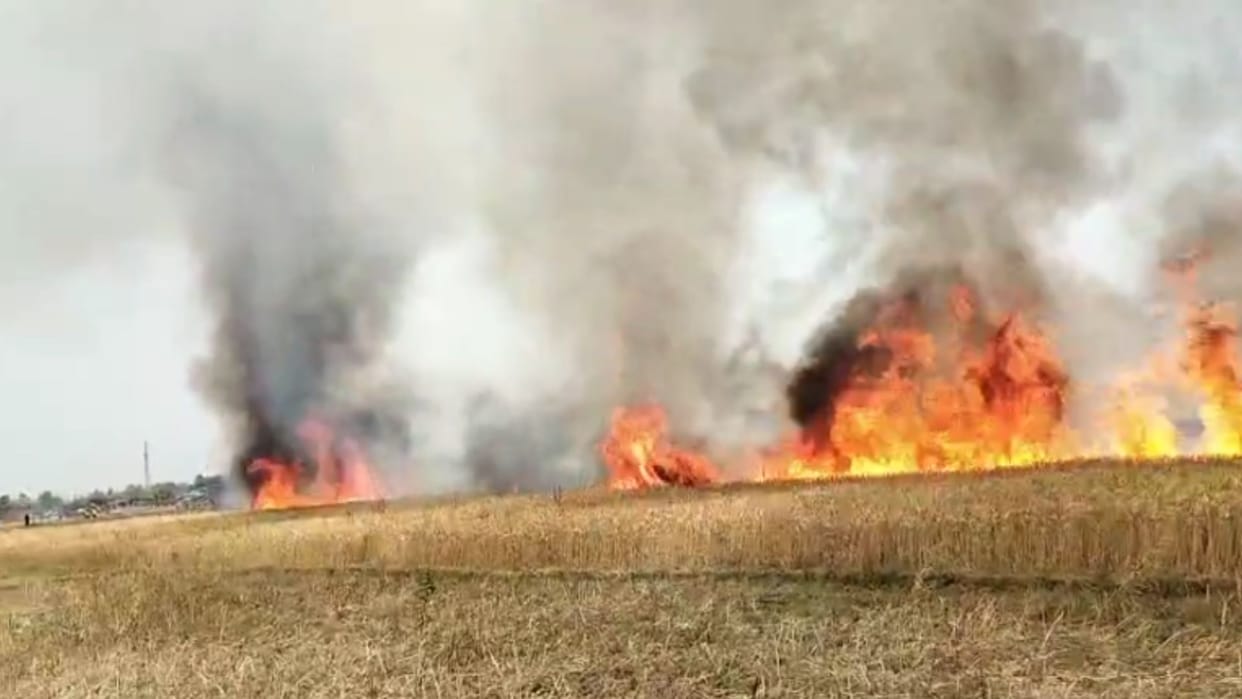 21 bigha wheat crop burnt in fire in different police station areas in Mainpuri