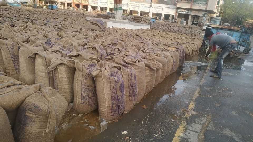 Lifting slow: More than six lakh quintals of wheat in the open