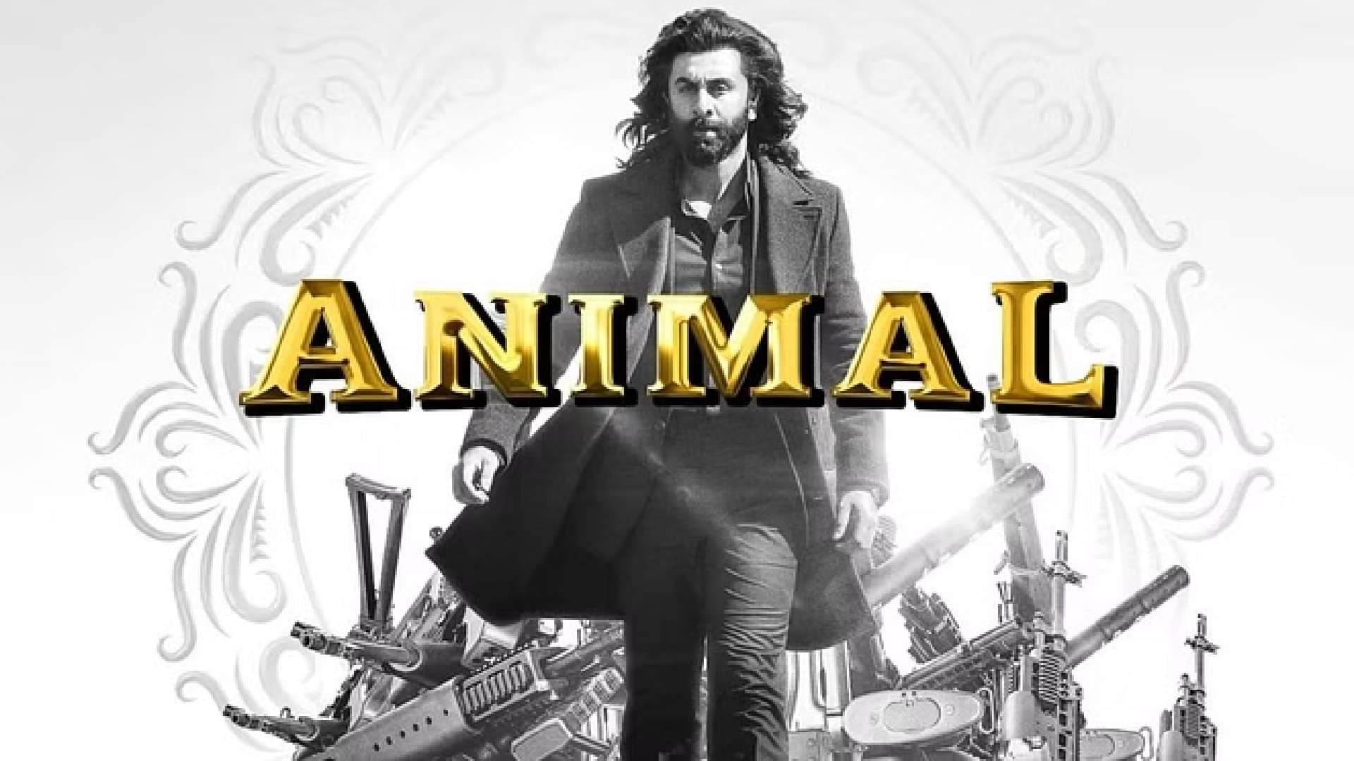 sandeep reddy vanga reveals animal park to be bigger and wilder ranbir kapoor to start sequel shooting in 2026