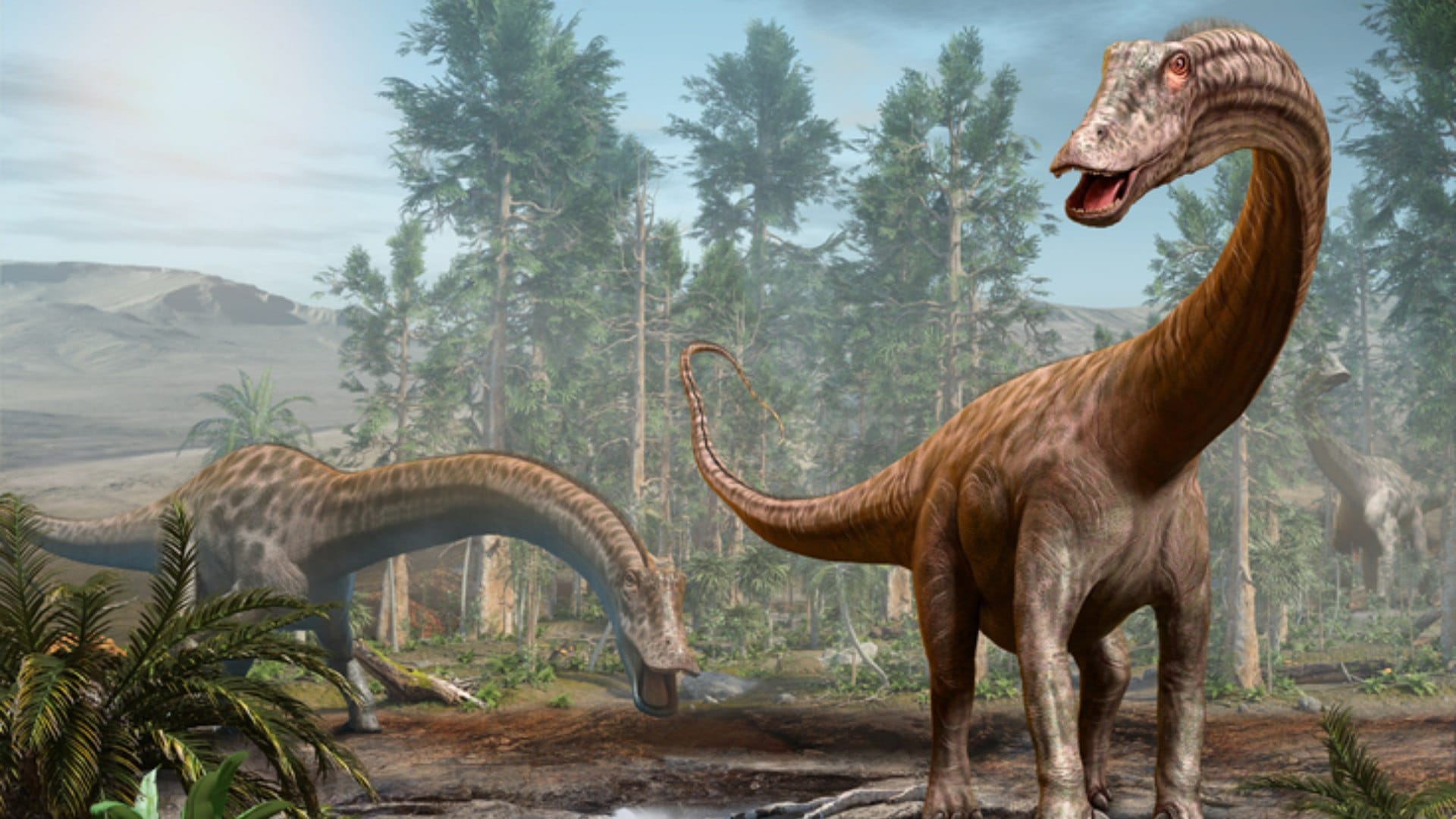 Enormous dinosaur dubbed Shiva 'The Destroyer' is one of the biggest ever discovered