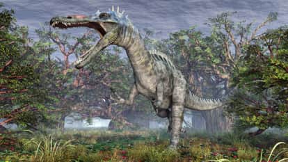 Scientists document largest trove of dinosaur footprints in central Bolivia