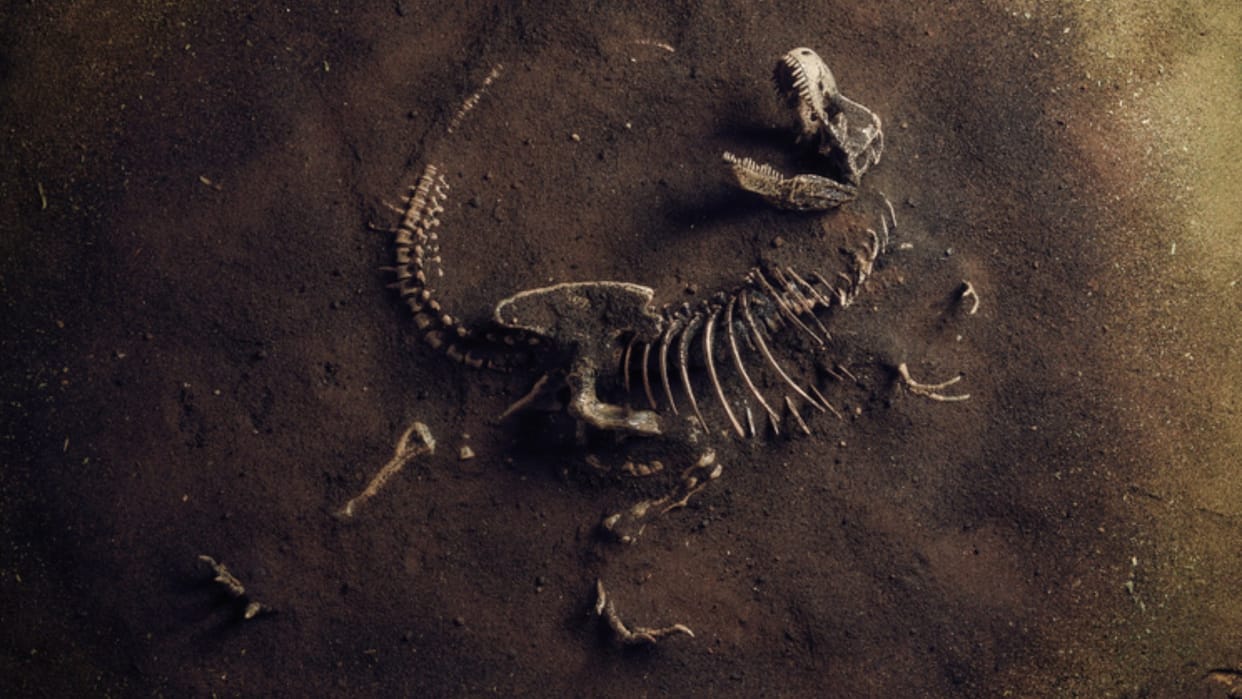 Enormous dinosaur dubbed Shiva 'The Destroyer' is one of the biggest ever discovered