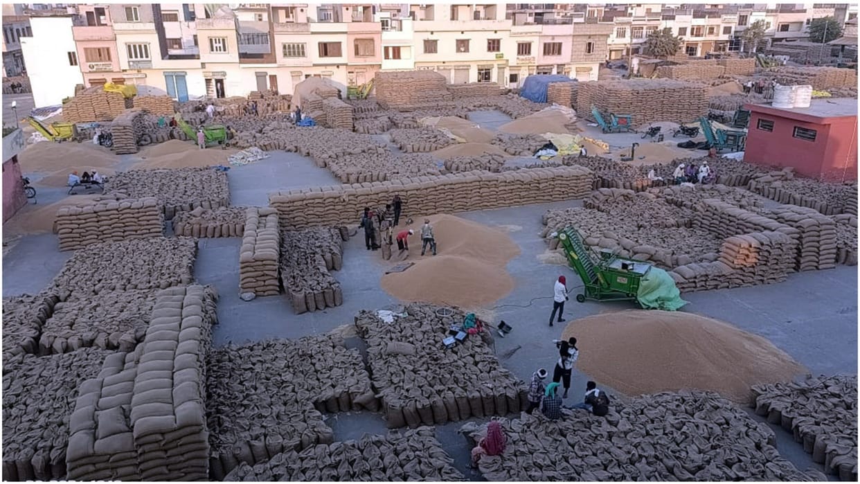 Hayrana: Markets will remain closed in the state today, only wheat-mustard will be lifted, CM orders Girdawari