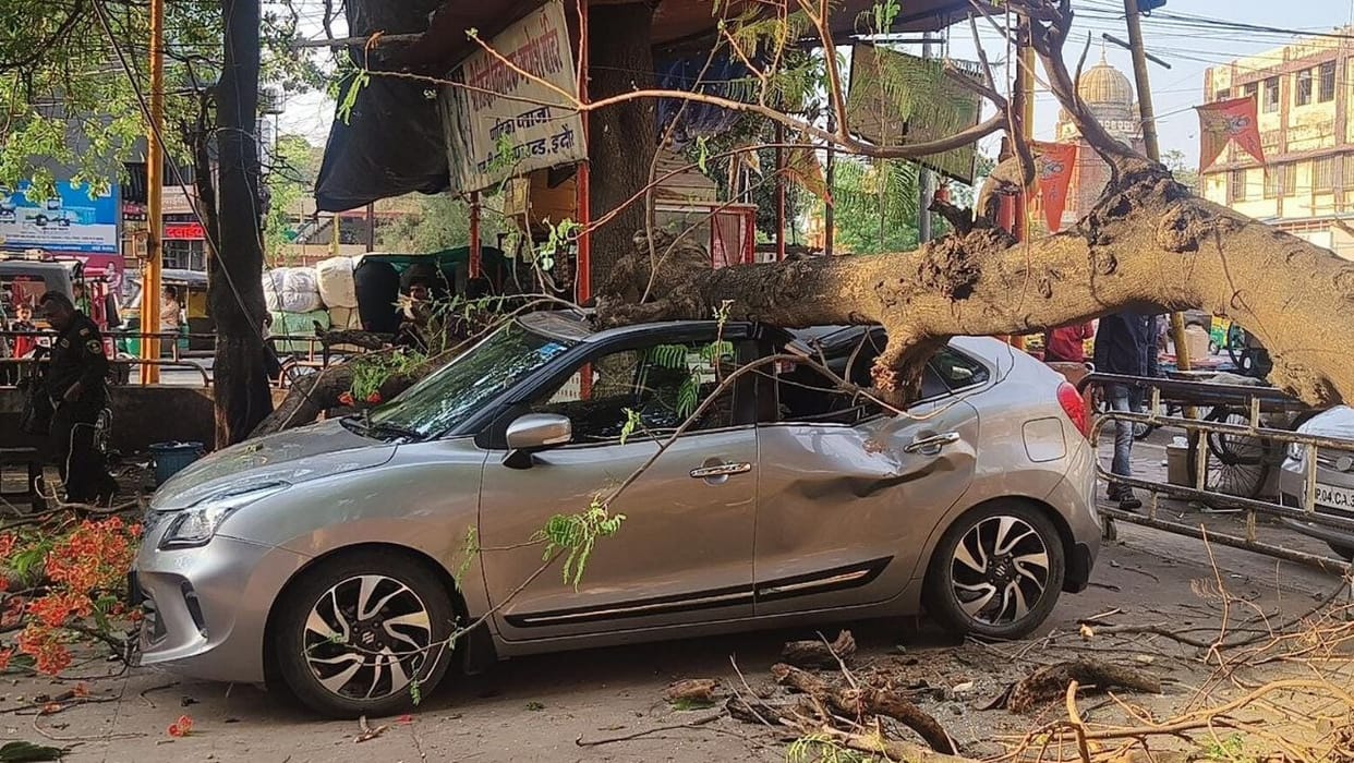 indore news tree fell due to strong winds roof of car broken