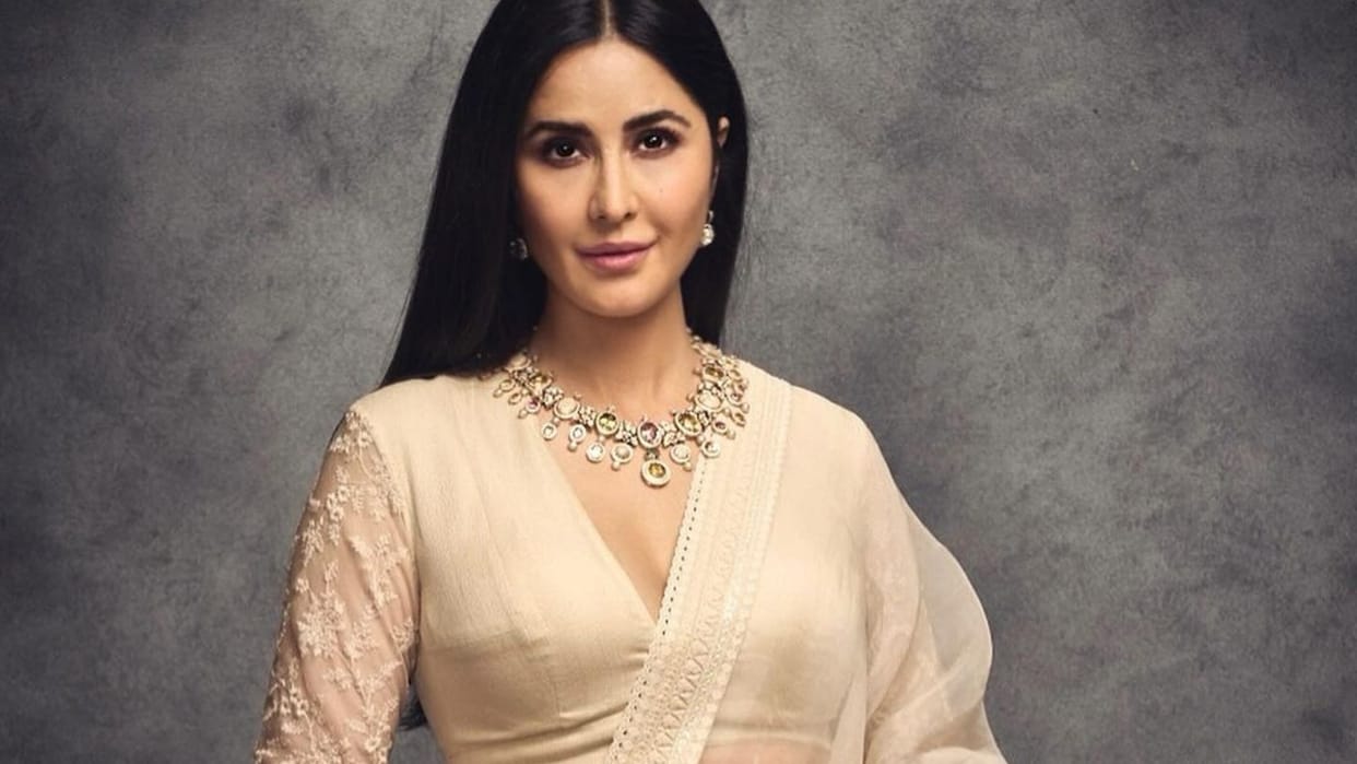 Welcome to Namastey London Singh Is King these movies changed the trajectory of Katrina Kaif career