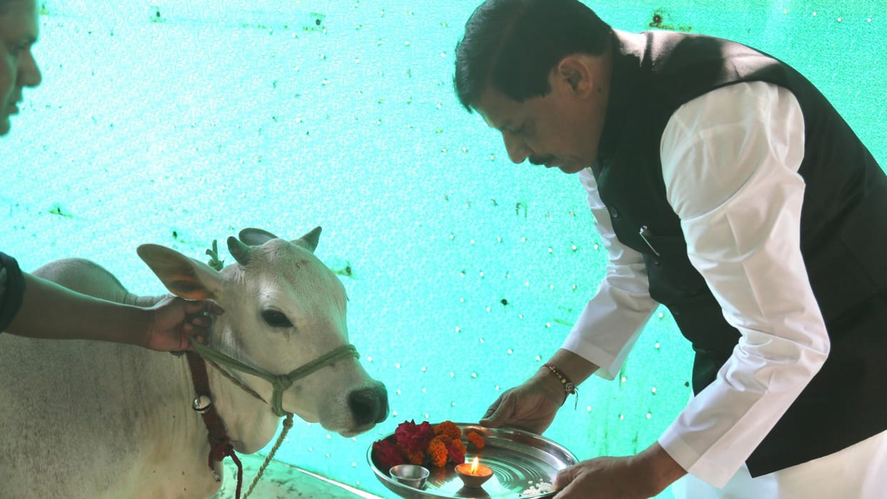 MP News: State level Gau-Shala Sammelan will be held on June 20 at CM residence in Bhopal, Gau-keepers will ge