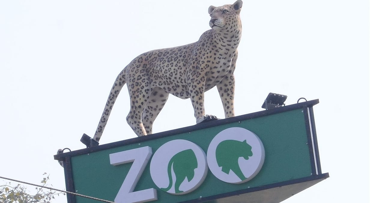You will have to shell out money to see wild animals in Bhiwani Mini Zoo, new ticket rates will be implemented