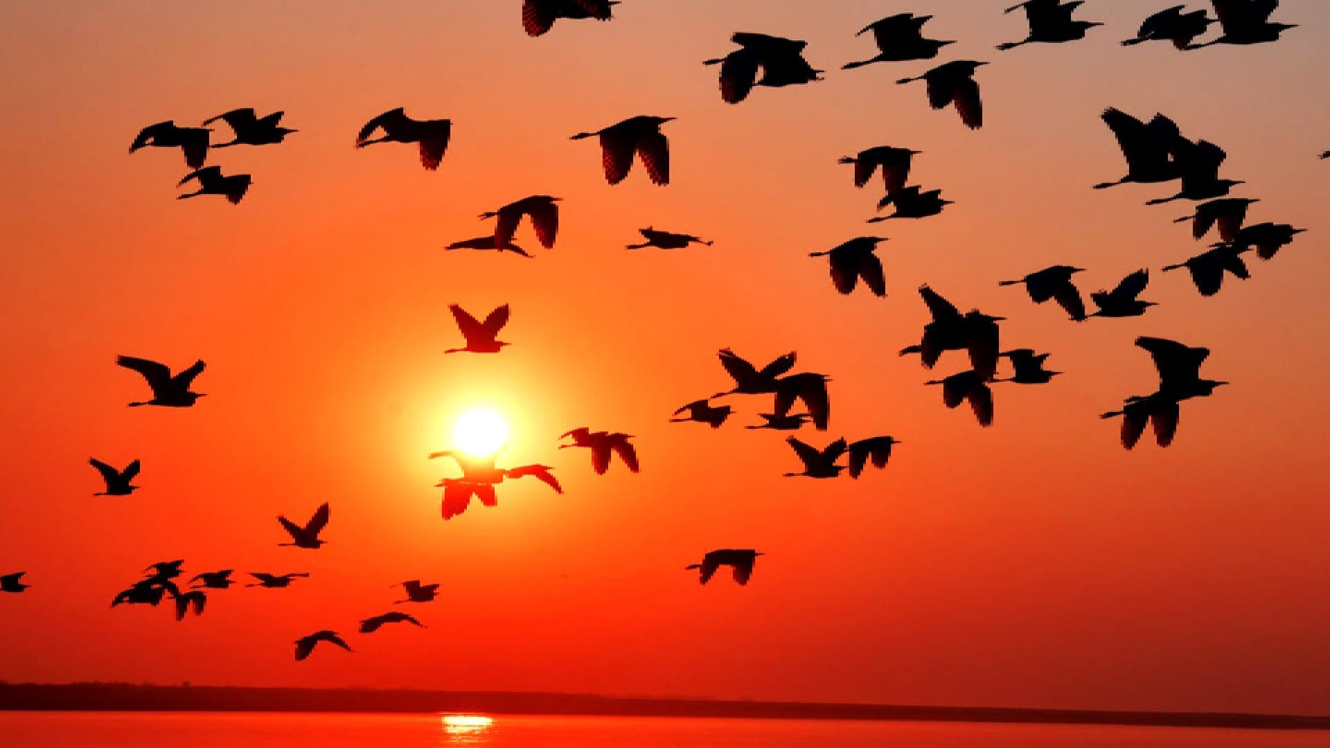 according to swapna shastra these five dreams comes before your good time