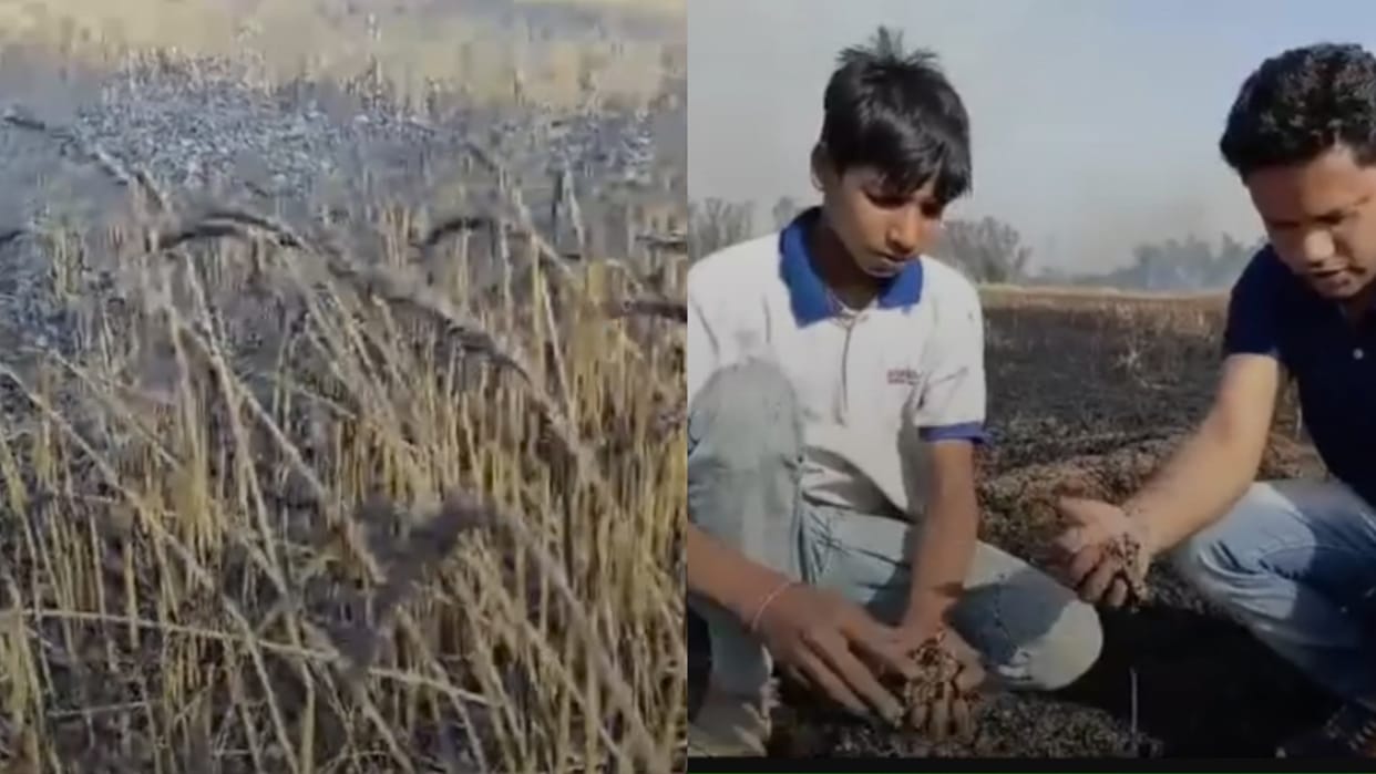 Karnal: Fire blazes in the fields, 200 acres of wheat crop burnt
