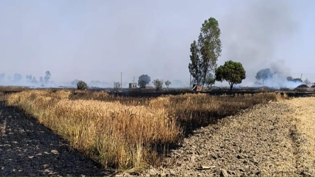 Kaithal: More than 100 acres of wheat and Fane of farmers of Pai, Bhana and Karora villages were burnt