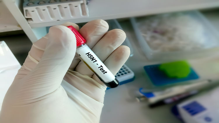 Avian Influenza H5n1 Outbreak In Uttarakhand Latest News And Updates Why  Bird Flu Is Dangerous - Amar Ujala Hindi News Live - H5n1:उत्तराखंड में  'कोरोना से भी खतरनाक' वायरस का बढ़ा प्रकोप,'