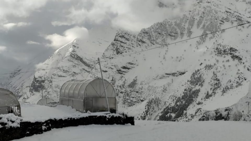 Snowfall in Lahaul rain again in Kullu