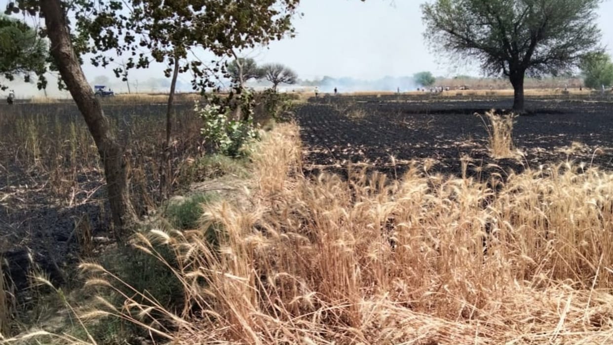 Charkhi Dadri: Wheat crop standing in 15 acres got burnt