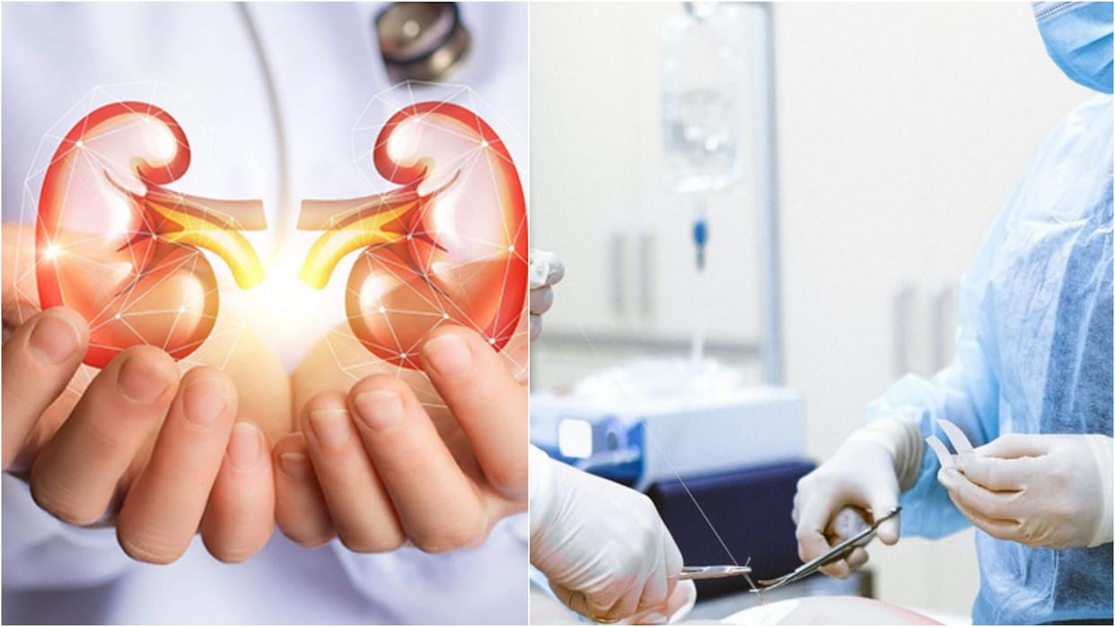Organ Transplant in India Health Ministry Strict ID within 48 hours mandatory know rules