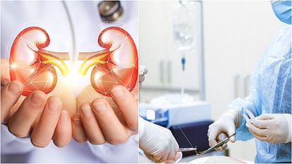 Health Ministry: अब देश में विदेशियों के अंग प्रत्यारोपण की होगी जांच, 48 घंटे में आईडी देना जरूरी; सरकार सख्त Organ Transplant in India Health Ministry Strict ID within 48 hours mandatory know rules