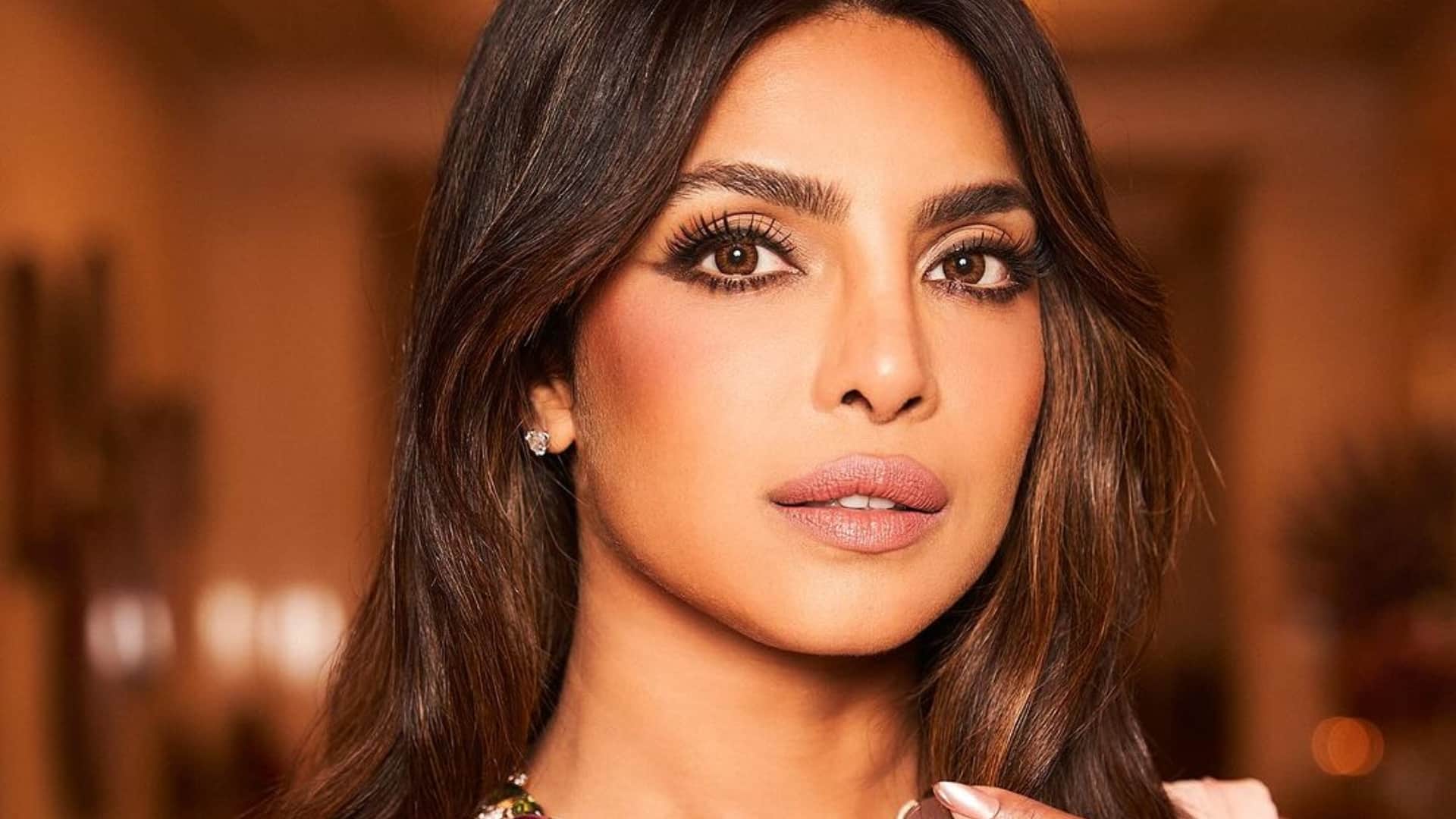 Indian Actors Who Did Hollywood Movies Priyanka Chopra Irrfan Khan Alia Bhatt Deepika Padukone