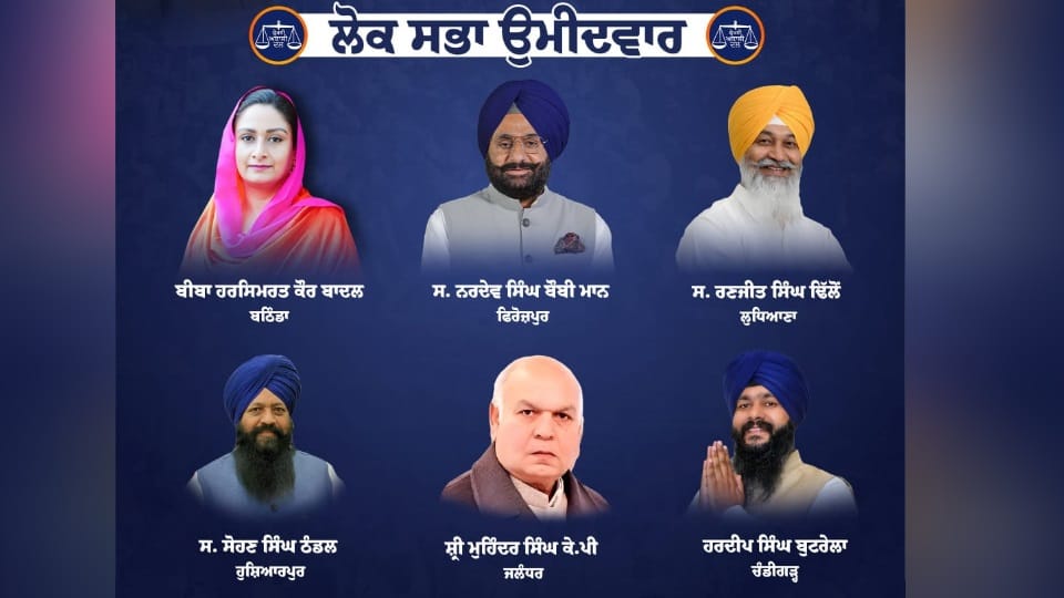Shiromani Akali Dal declared six candidates for loksabha Election