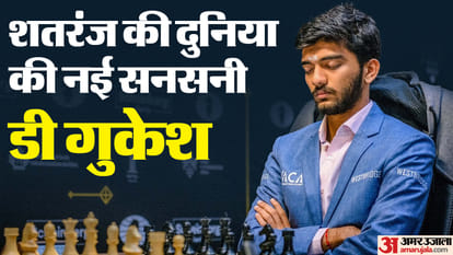 D Gukesh Wins Candidates Chess Tournament Know about Youngest World Chess Championship Contender Interview