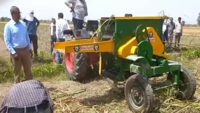 Sugarcane will be cut and peeled by machine, trial conducted in farmers field Muzaffarnagar