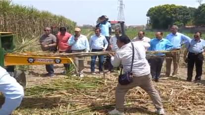 Sugarcane will be cut and peeled by machine, trial conducted in farmers field Muzaffarnagar