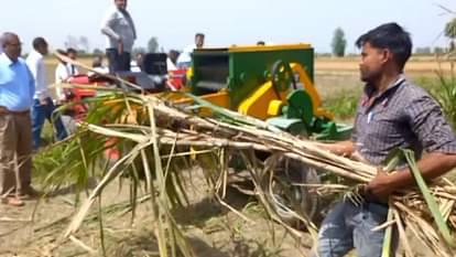 Sugarcane will be cut and peeled by machine, trial conducted in farmers field Muzaffarnagar