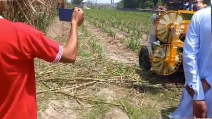 Sugarcane will be cut and peeled by machine, trial conducted in farmers field Muzaffarnagar