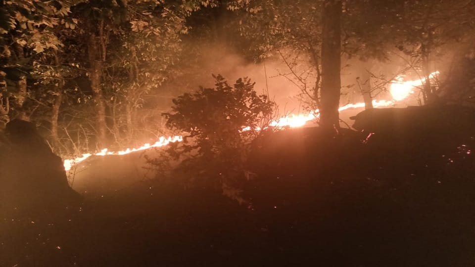 Uttarakhand Forest Fire: Fire broke out in the forests of Pithoragarh