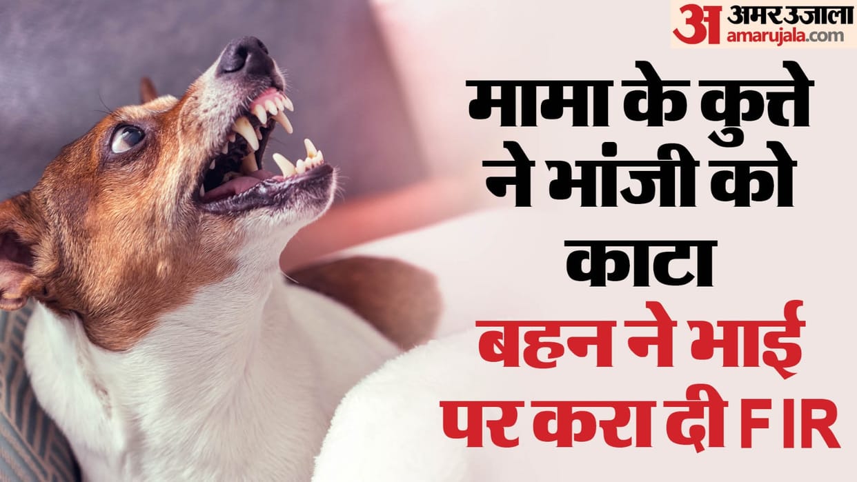maternal uncle pet dog bit his niece sister lodged fir on brother