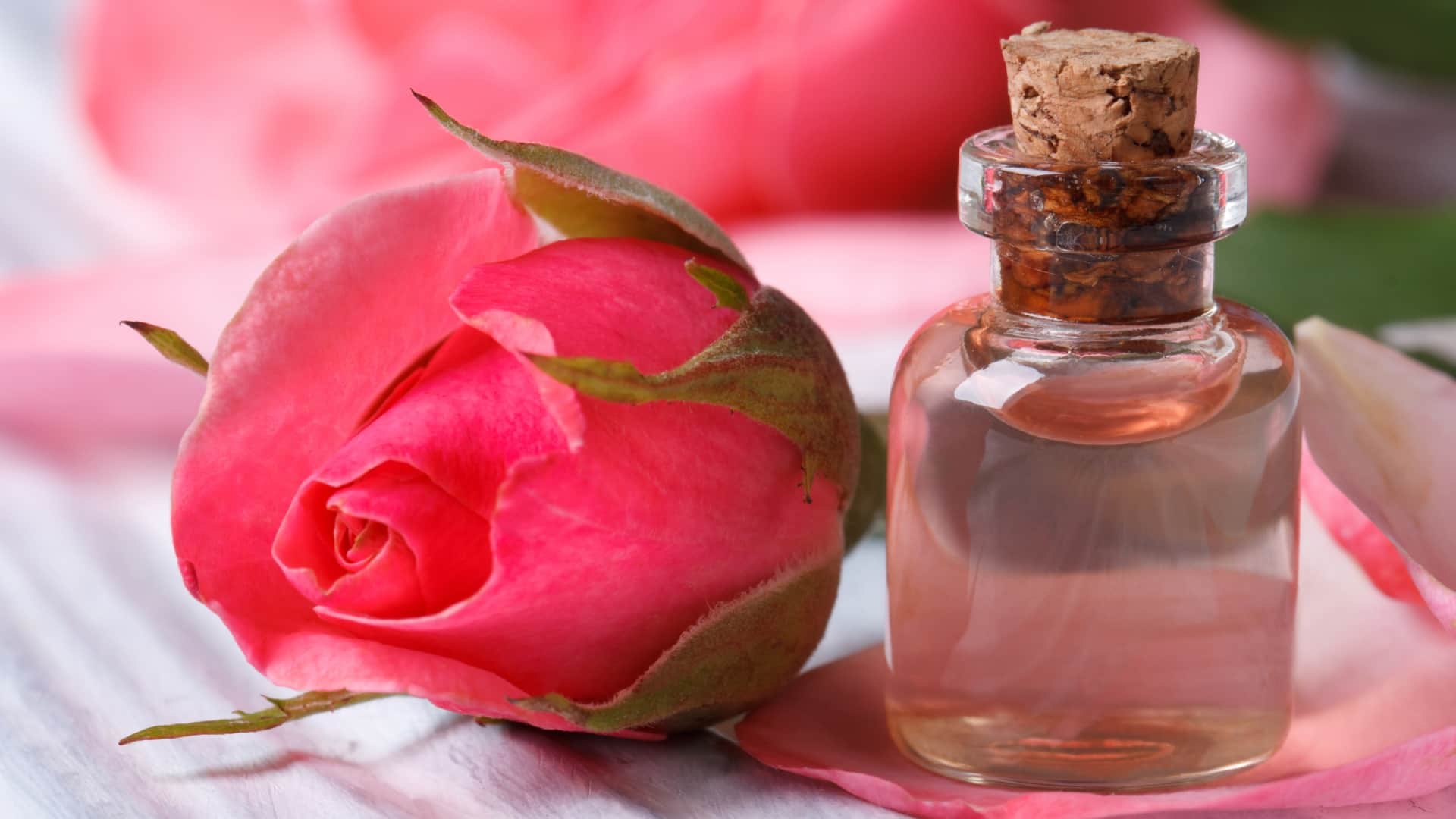 simple Morning Skin Care routine for daily basis in hindi disprj