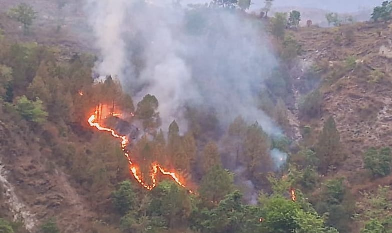 Uttarakhand Forest burning in state But forest department is hiding fire incidents