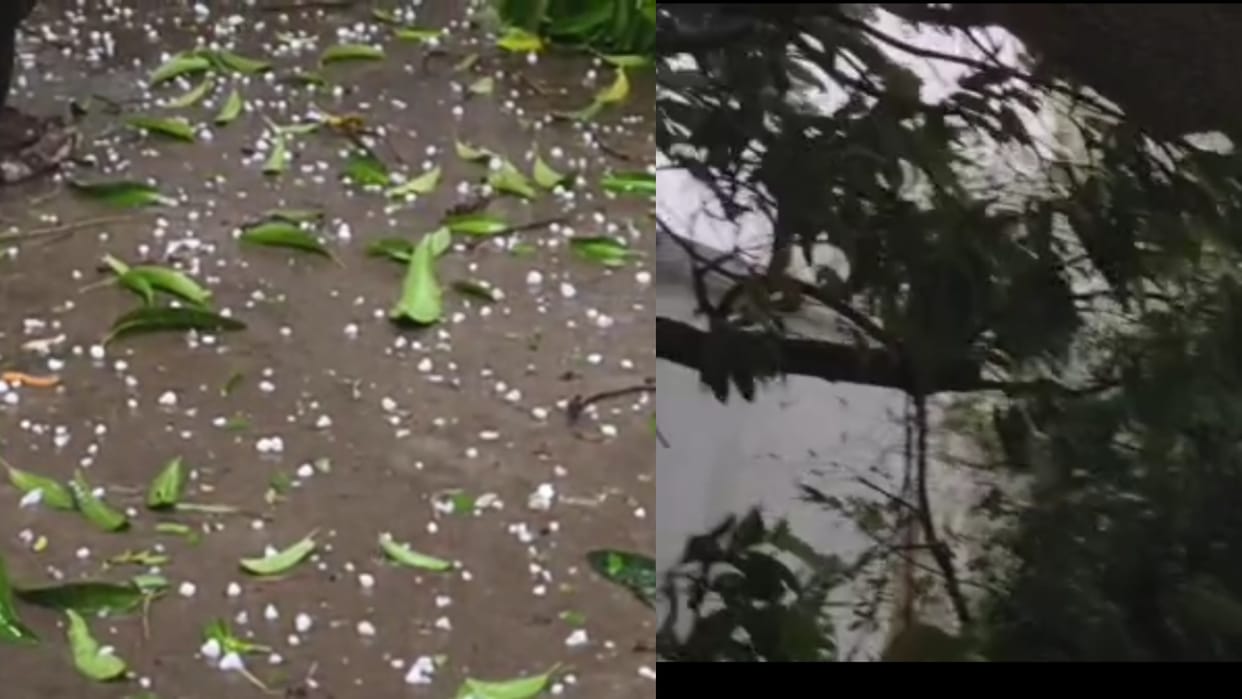 Bihar News : Relief from heat in many parts of Bihar, heavy damage to crops due to hailstorm today weather