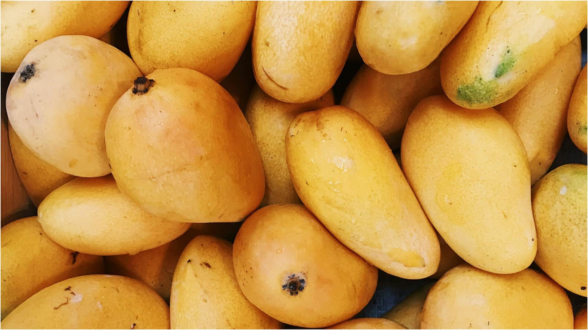 Types Of Mangoes List How To Identify Different Varieties Of mango in India dasheri chausa langda