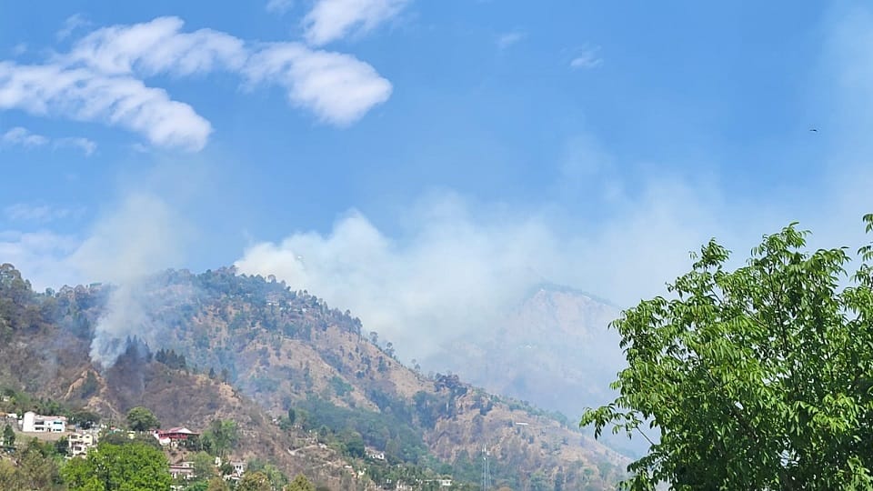 Fire broke out in the forest of Nainital Uttarakhand
