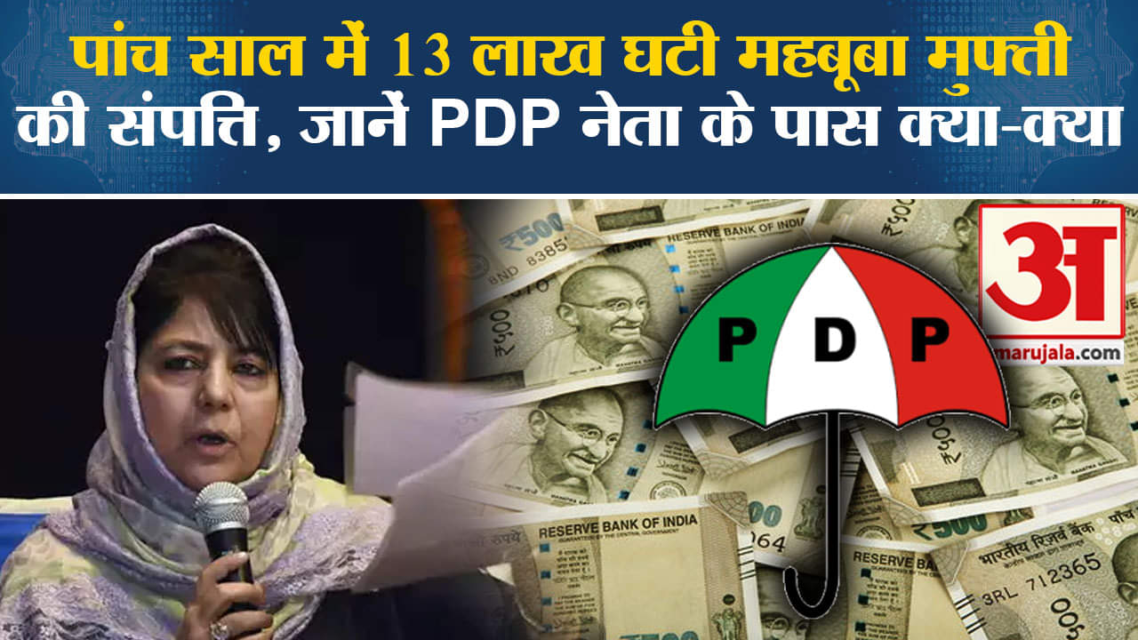 लोकसभा चुनाव