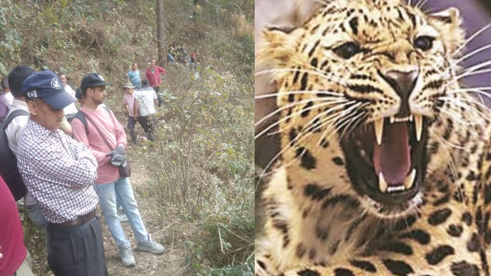 Uttarakhand News Leopard Killed youth in Naukhu village Rudraprayag dead body found on third day