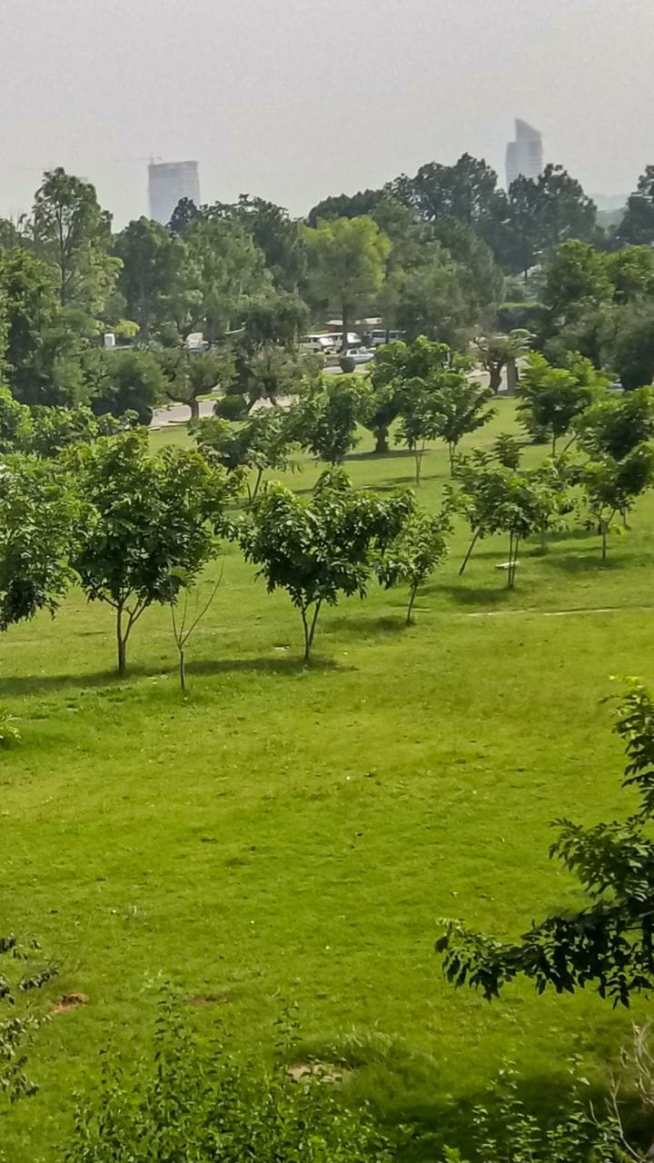 Aunty leaves Bulldog, children, elderly in the park, how to walk in Gorakhpur